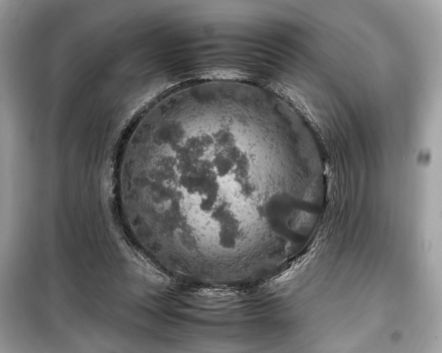 X0000099570351200805161522