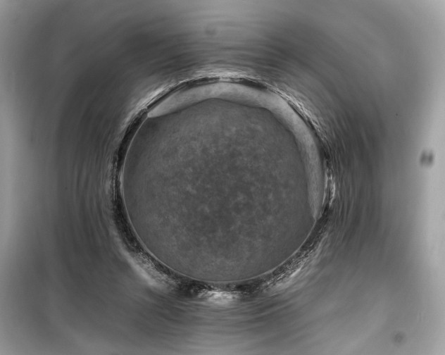 X0000099570352200805161522