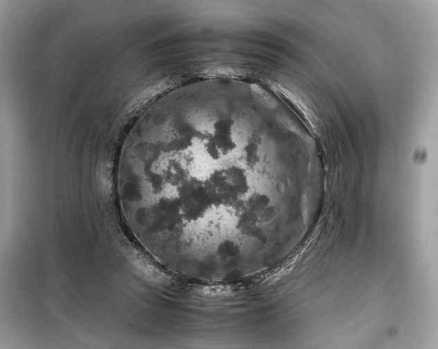 X0000099570353200805161522