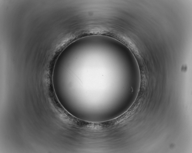 X0000099570354200805161522