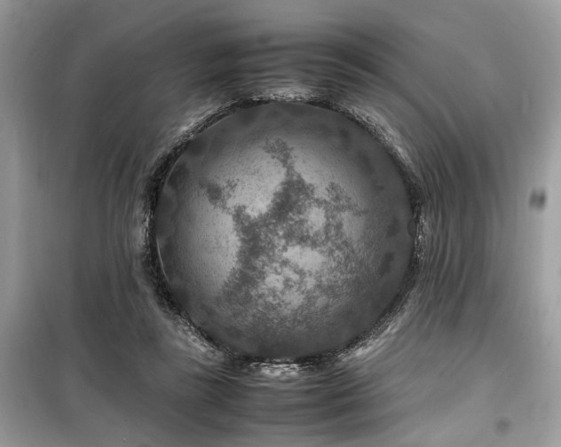 X0000099570355200805161522