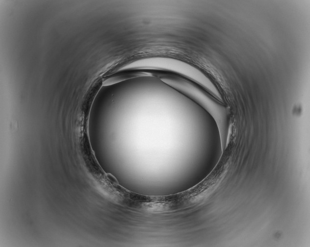 X0000099570356200805161522