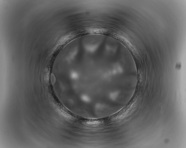 X0000099570357200805161522