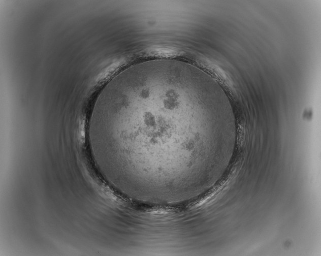 X0000099570358200805161522