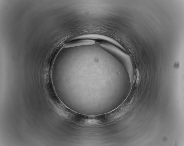 X0000099570360200805161522