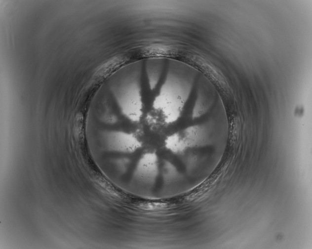 X0000099570361200805161522