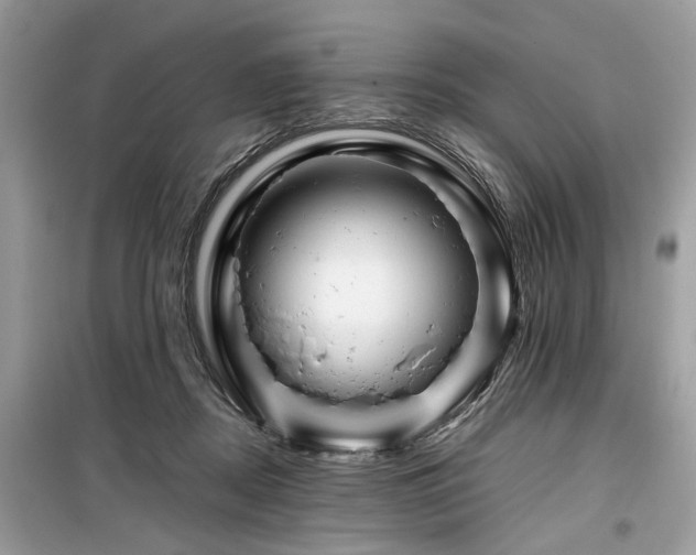 X0000099570362200805161522