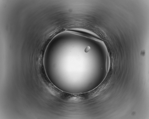 X0000099570364200805161522