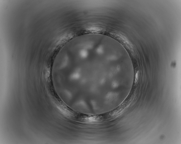 X0000099570365200805161522