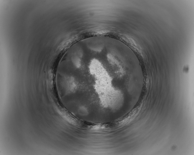 X0000099570366200805161522