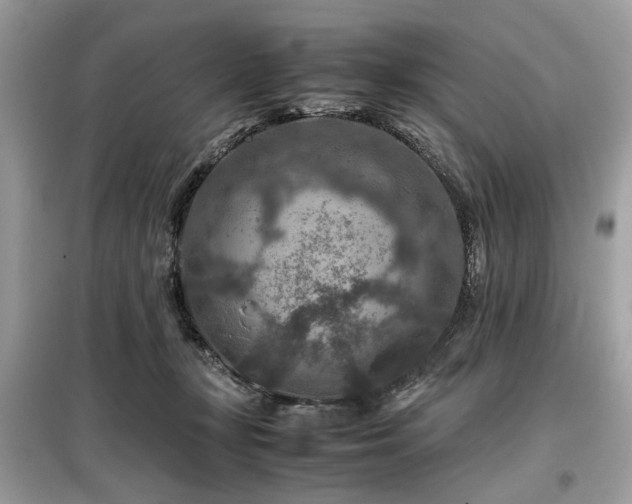 X0000099570367200805161522