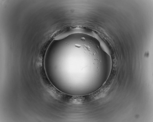 X0000099570368200805161522