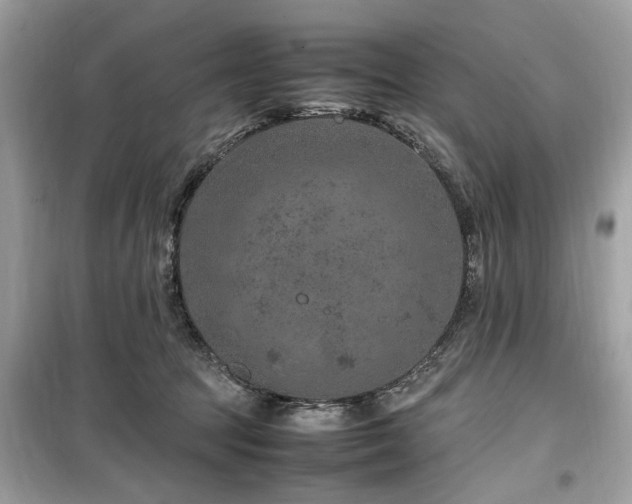 X0000099570369200805161522