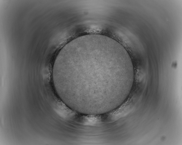 X0000099570370200805161522