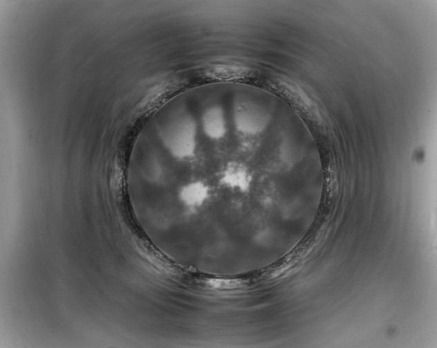 X0000099570371200805161522