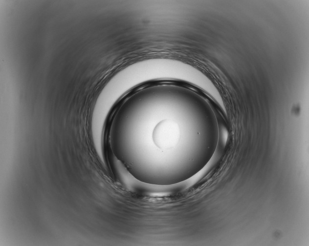 X0000099570372200805161522