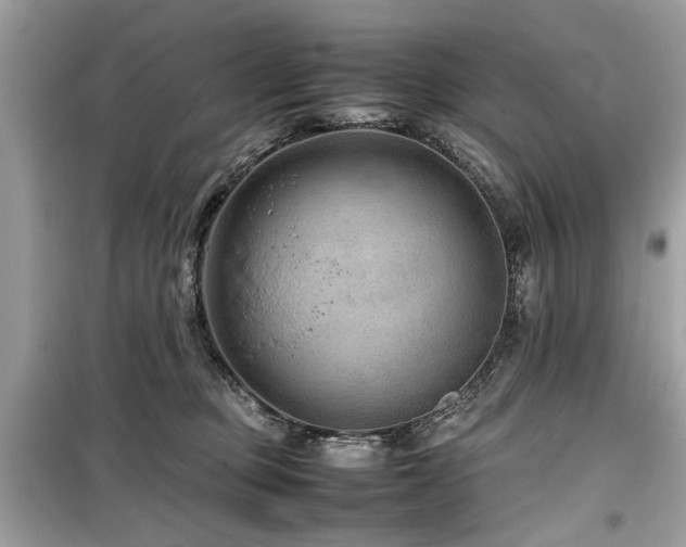 X0000099570373200805161522