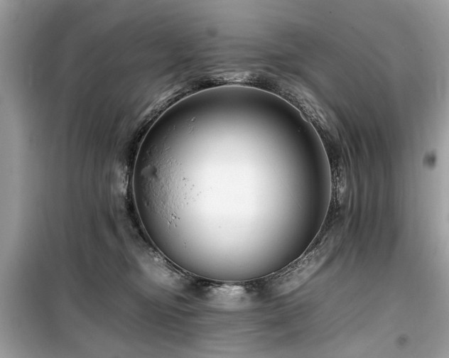 X0000099570374200805161522