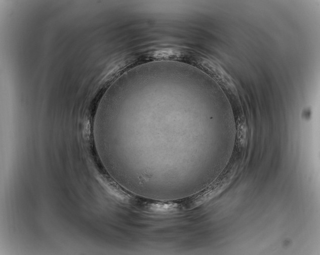 X0000099570375200805161522