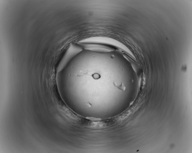 X0000099570376200805161522