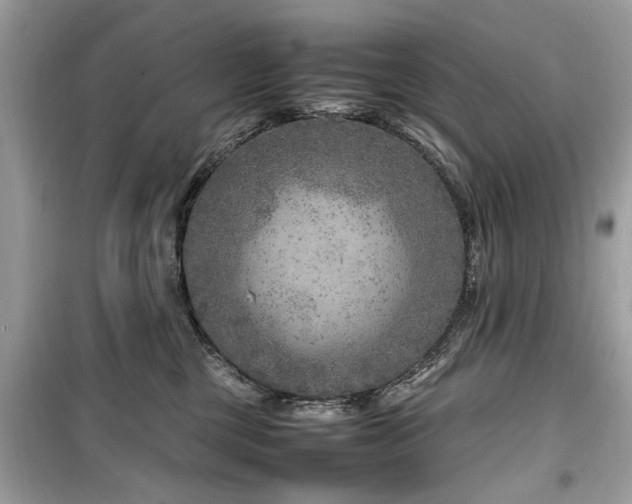 X0000099570377200805161522