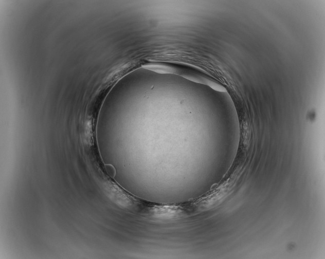 X0000099570378200805161522