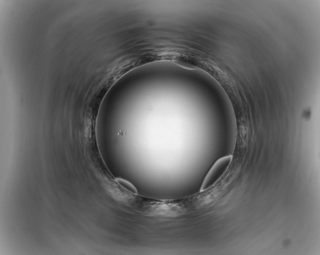 X0000099570379200805161522