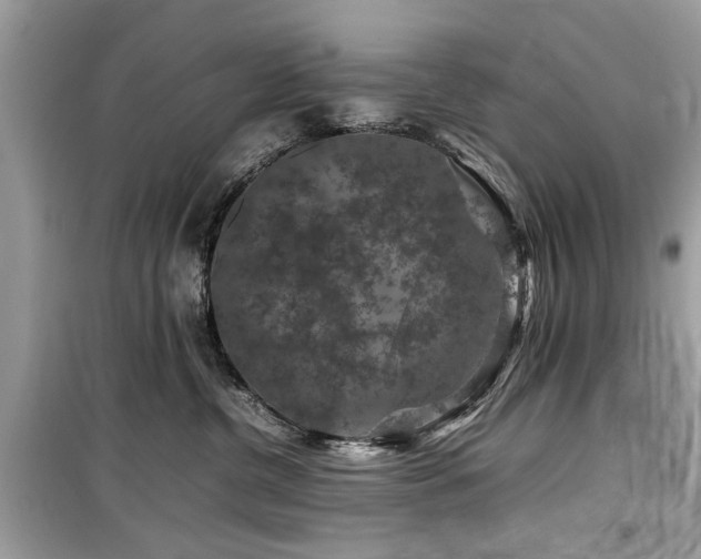 X0000099570380200805161522