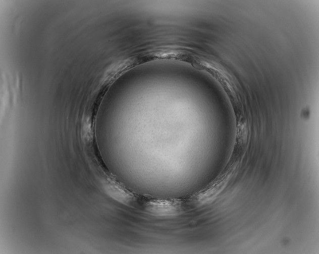 X0000099570381200805161522