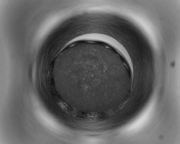 X0000099570382200805161522