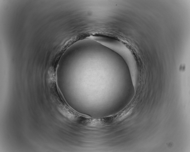 X0000099570384200805161522