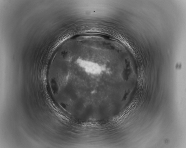 X0000099570386200805161522