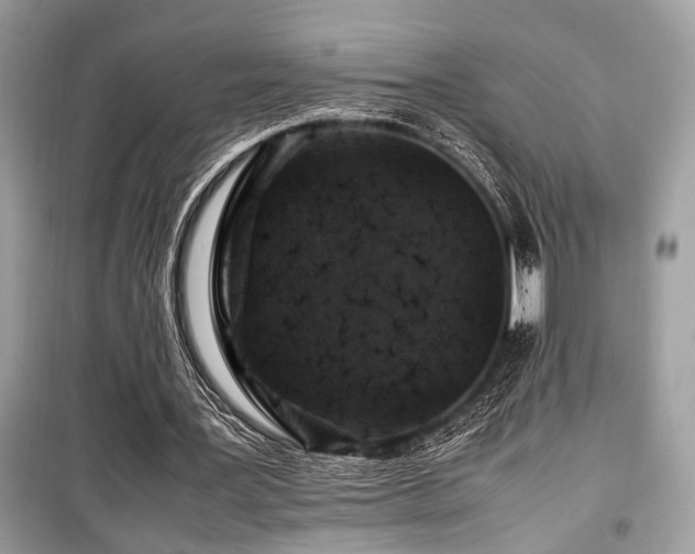 X0000099570387200805161522