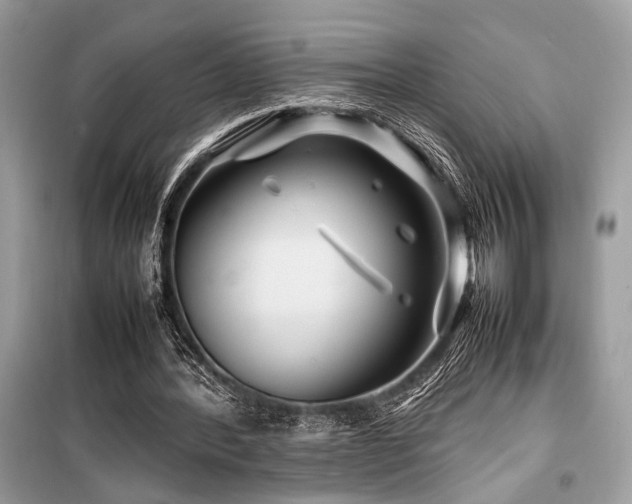 X0000099570388200805161522