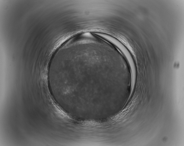 X0000099570389200805161522