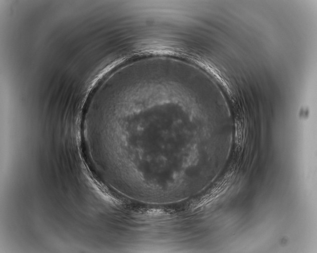 X0000099570390200805161522