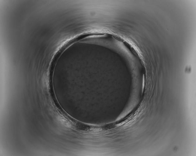 X0000099570391200805161522