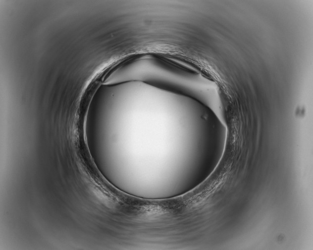 X0000099570392200805161522