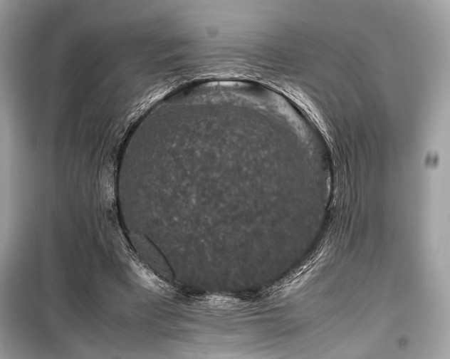 X0000099570393200805161522