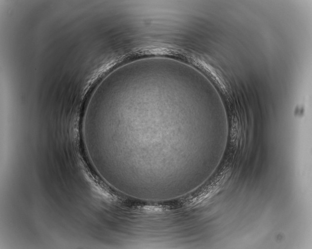 X0000099570394200805161522