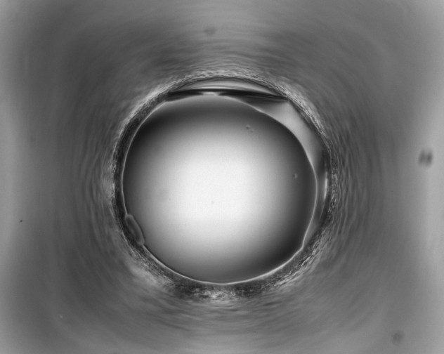 X0000099570395200805161522