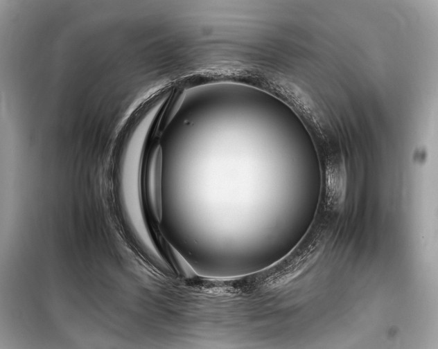 X0000099570396200805161522