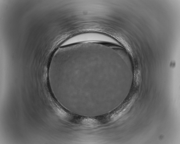 X0000099570397200805161522