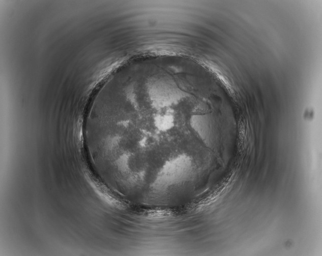 X0000099570398200805161522