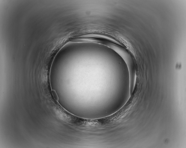 X0000099570401200805161521