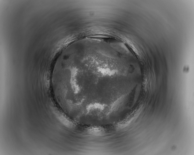 X0000099570402200805161521