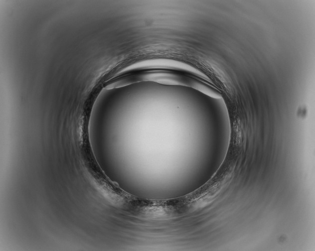 X0000099570404200805161521