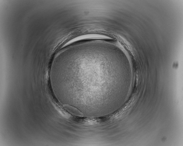 X0000099570405200805161521