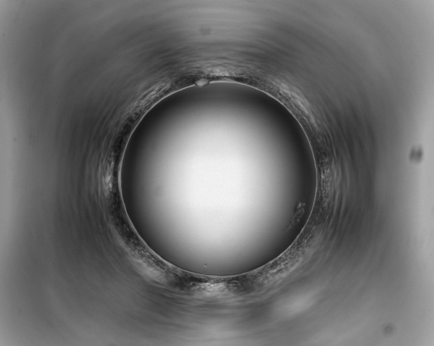 X0000099570406200805161521