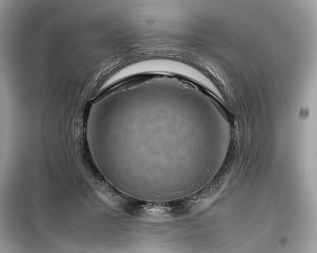 X0000099570407200805161521